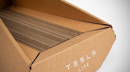 Onverwacht: Tesla heeft een kattenbed uitgebracht in de stijl van de elektrische pick-up Cybertruck