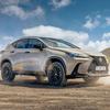 Lexus NX Overtrail zwart decor