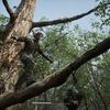 Een remake waar fans dol op zullen zijn: journalisten delen hun indrukken van de Metal Gear Solid Δ: Snake Eater demo-6 Een remake waar fans dol op zullen zijn: journalisten delen hun indrukken van de Metal Gear Solid Δ: Snake Eater demo-6