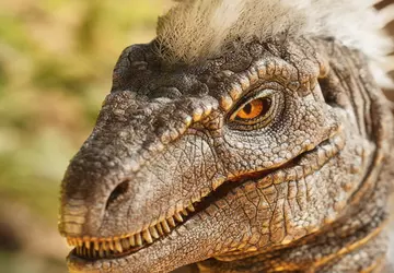 Dinosaurussen gaan aan de leiding: de ...