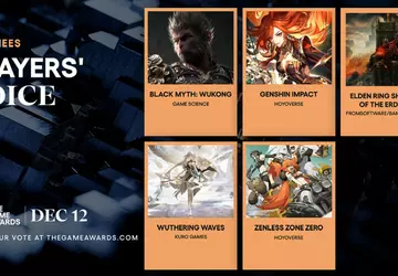 De laatste fase van de Players' ...