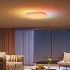 Govee Square Ceiling Light in Europa