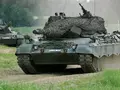 post_big/Leopard_1_6RhHMmL.jpg