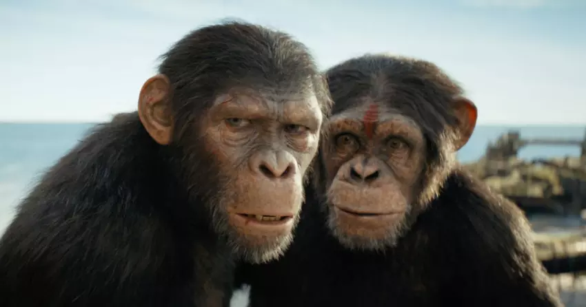 The Kingdom of the Planet of the Apes bracht $ 56 miljoen op in zijn eerste weekend in de VS, het op één na beste resultaat in de geschiedenis van de franchise.