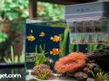 post_big/smart_aquarium_feeder_2-min.jpg