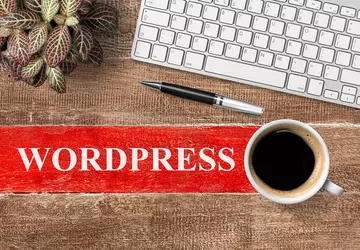 De interessantste functies van Wordpress