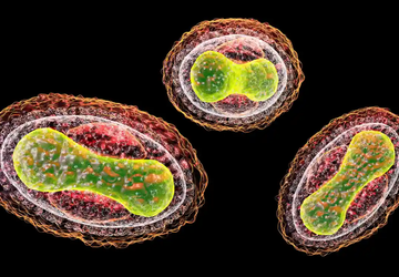 AI-gebaseerde chatbots kunnen helpen bij het ...