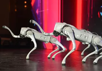 China stelt voor om "robothonden" uit ...