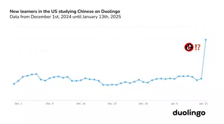 TikTok op het blok, Duolingo aan de top: onverwachte stijging in populariteit