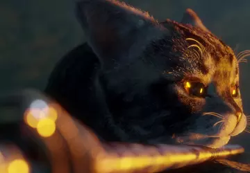 Samoerai, krijger-kat en kleine geest gaan ...