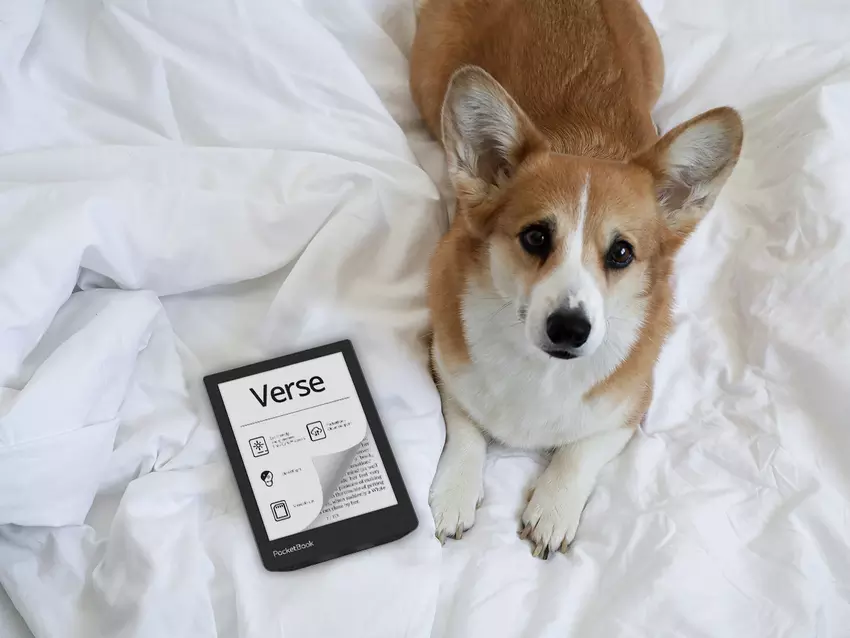 PocketBook Verse: 6-inch E Ink Carta-display, sleuf voor geheugenkaart en SMARTlight-achtergrondverlichting