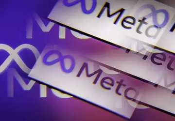 Onderzoekers en NGO's dringen er bij ...