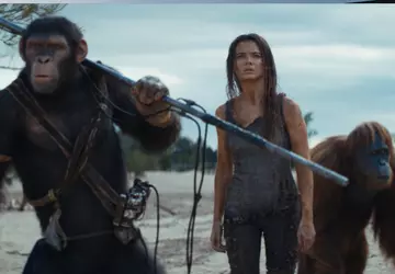 Apen, gevechten en sensatie: de laatste ...