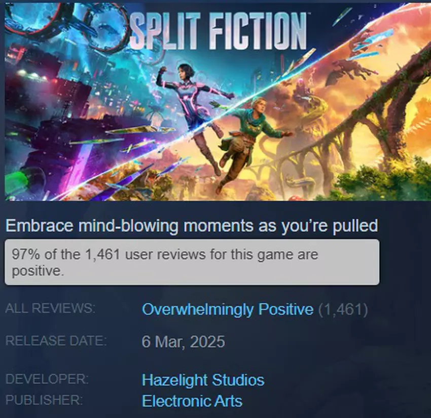 Afbeelding van Split Fiction