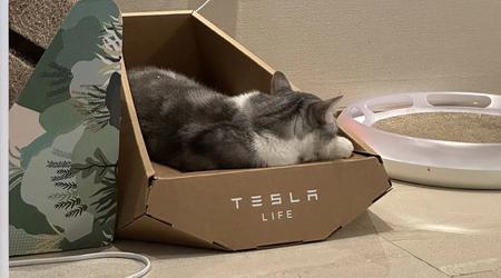 Het lijkt erop dat Tesla het ontwerp van een kattenligstoel in "Cybertruck-stijl" heeft gestolen van een Taiwanees bedrijf