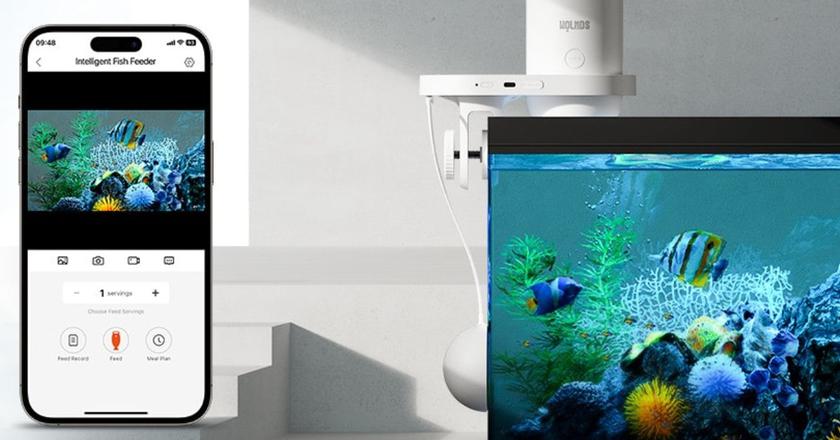 Wolmds automatische visvoederautomaat wifi