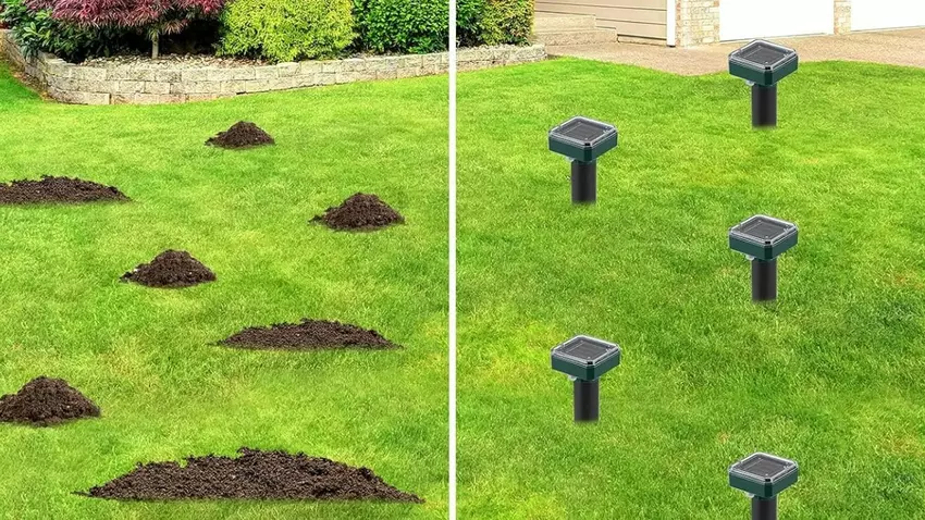 Beste mollenverjager op zonne-energie