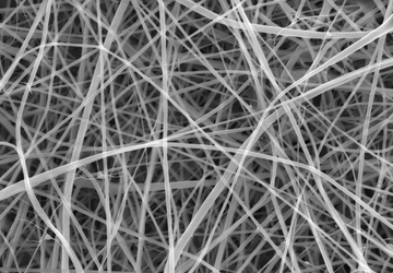 Wetenschappers hebben spaghetti gemaakt die 1000 ...