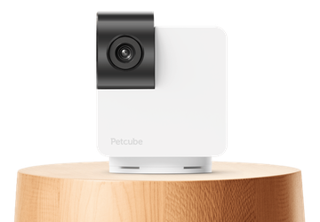 Petcube Cam 360: huisdiercamera met 360° ...