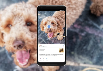Google Lens krijgt AI-gebaseerde antwoordgeneratiefunctie voor ...
