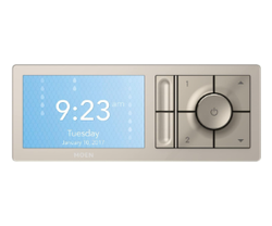 Moen Terra Beige 2-uitgangs digitaal douchesysteem