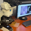 Google en het Pentagon hebben een op kunstmatige intelligentie gebaseerde microscoop ontwikkeld voor kankerdiagnose-5 Google en het Pentagon hebben een op kunstmatige intelligentie gebaseerde microscoop ontwikkeld voor kankerdiagnose-5