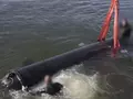 post_big/Marichka.jpg