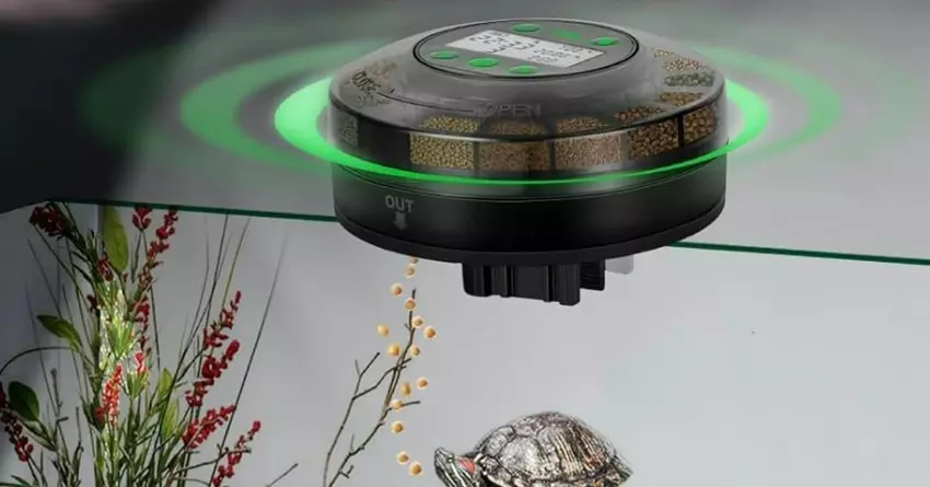 Papettly automatische visbak voeder