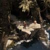 Preview van Flint: Schat van Oblivion afbeelding 5