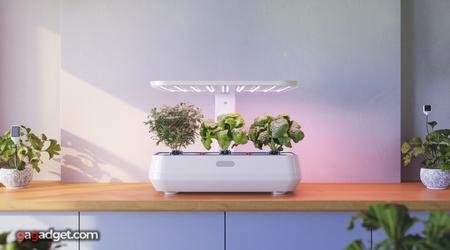 Slimme Gadgets voor Plantenverzorging