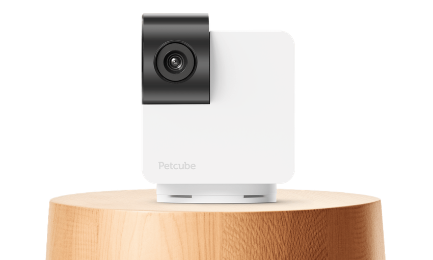 Petcube Cam 360: huisdiercamera met 360° rotatie, nachtmodus en tweewegcommunicatie