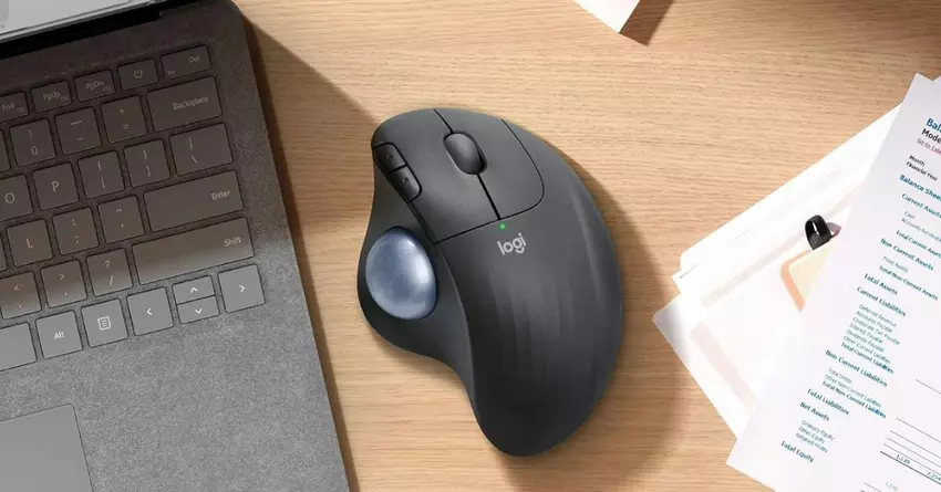 ergonomische muis