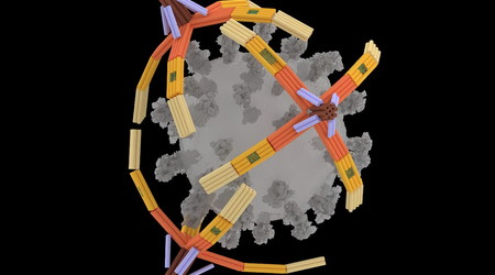 Wetenschappers hebben een microscopische "arm" gemaakt van DNA die virussen vangt om infecties te voorkomen
