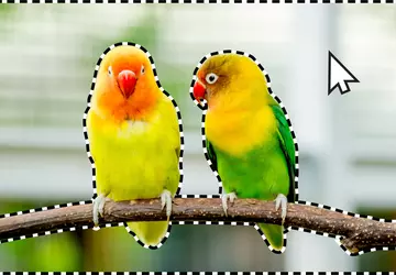 Adobe heeft AI-tools toegevoegd voor objectselectie, ...