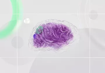 De Britse toezichthouder heeft zeven principes ...