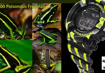 Casio Frogman GW-8200TPF Poison Dart horloge ...