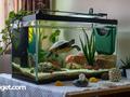 post_big/best_turtle_tank_filter-min.jpg