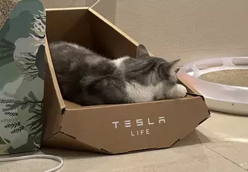 Het lijkt erop dat Tesla het ...