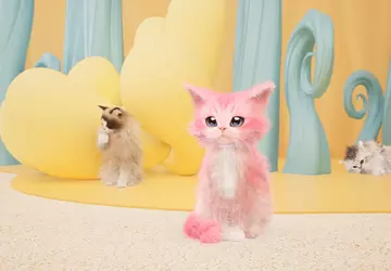 Catly-ontwikkelaars onthullen nieuwe gametrailer na beschuldigingen ...