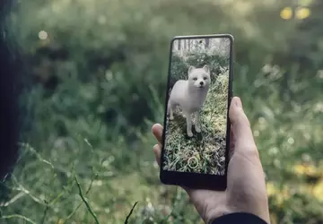 Google verwijdert de meeste 3D-dieren en ...