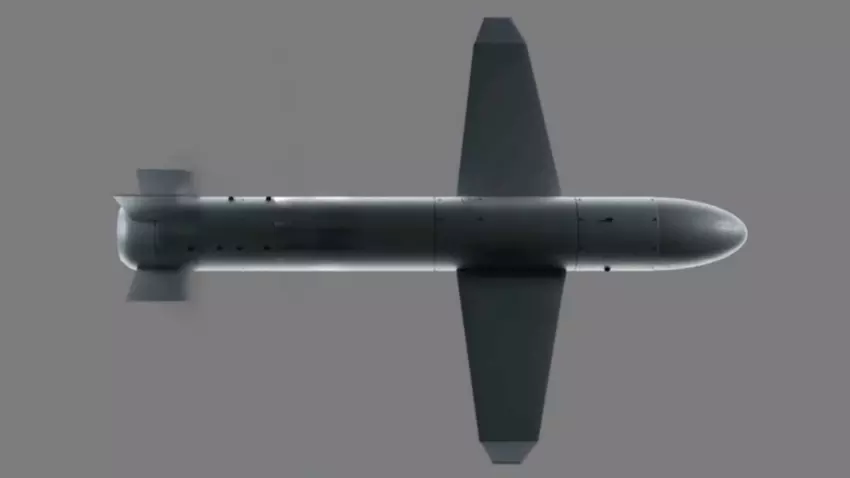 Palyanytsia drone missile
