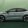 Voorbeeld van de afbeelding Enyaq Coupé RS