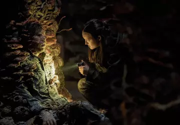 Het tweede seizoen van The Last ...