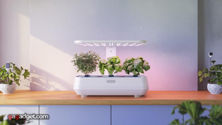 Slimme Gadgets voor Plantenverzorging