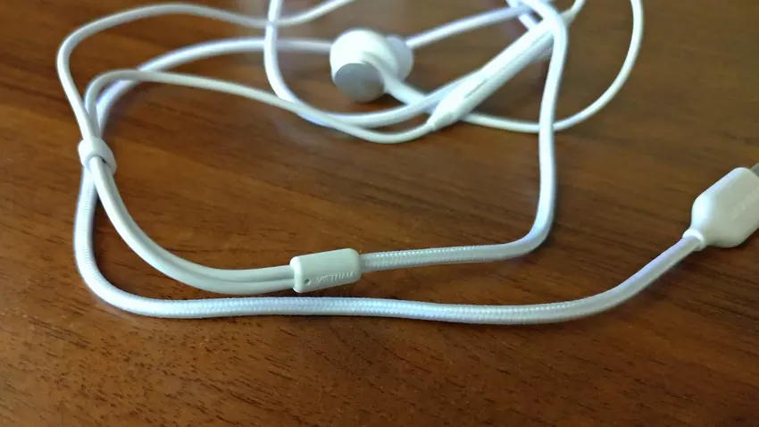 Samsung EO-IC100 Android oordopjes USB type-C