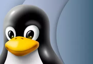 Nieuw Linux-fout: 'Wall'-kwetsbaarheid vormt veiligheidsrisico