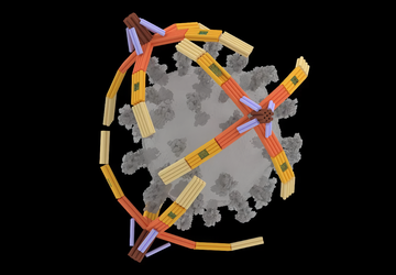Wetenschappers hebben een microscopische "arm" gemaakt ...