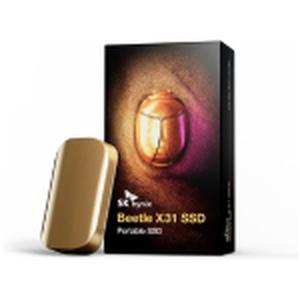 SK hynix Kever X31