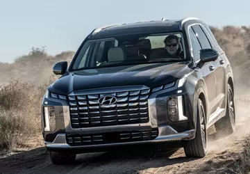 Eigenaren van de Hyundai Palisade klagen: ...