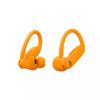 Kleur Powerbeats Pro 2 hoesje